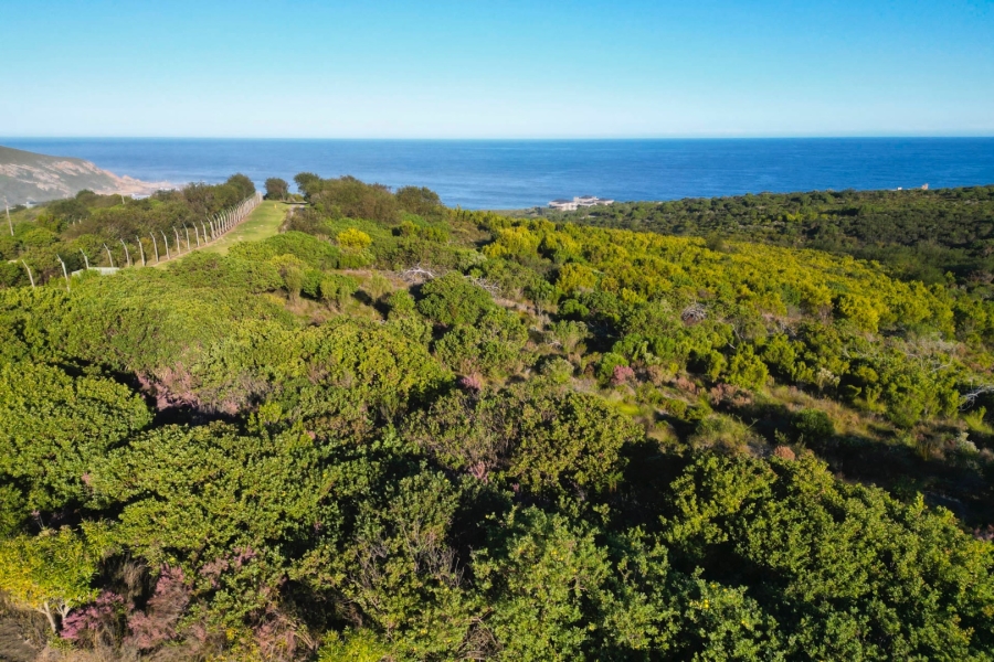  Bedroom Property for Sale in Pezula Private Estate Western Cape